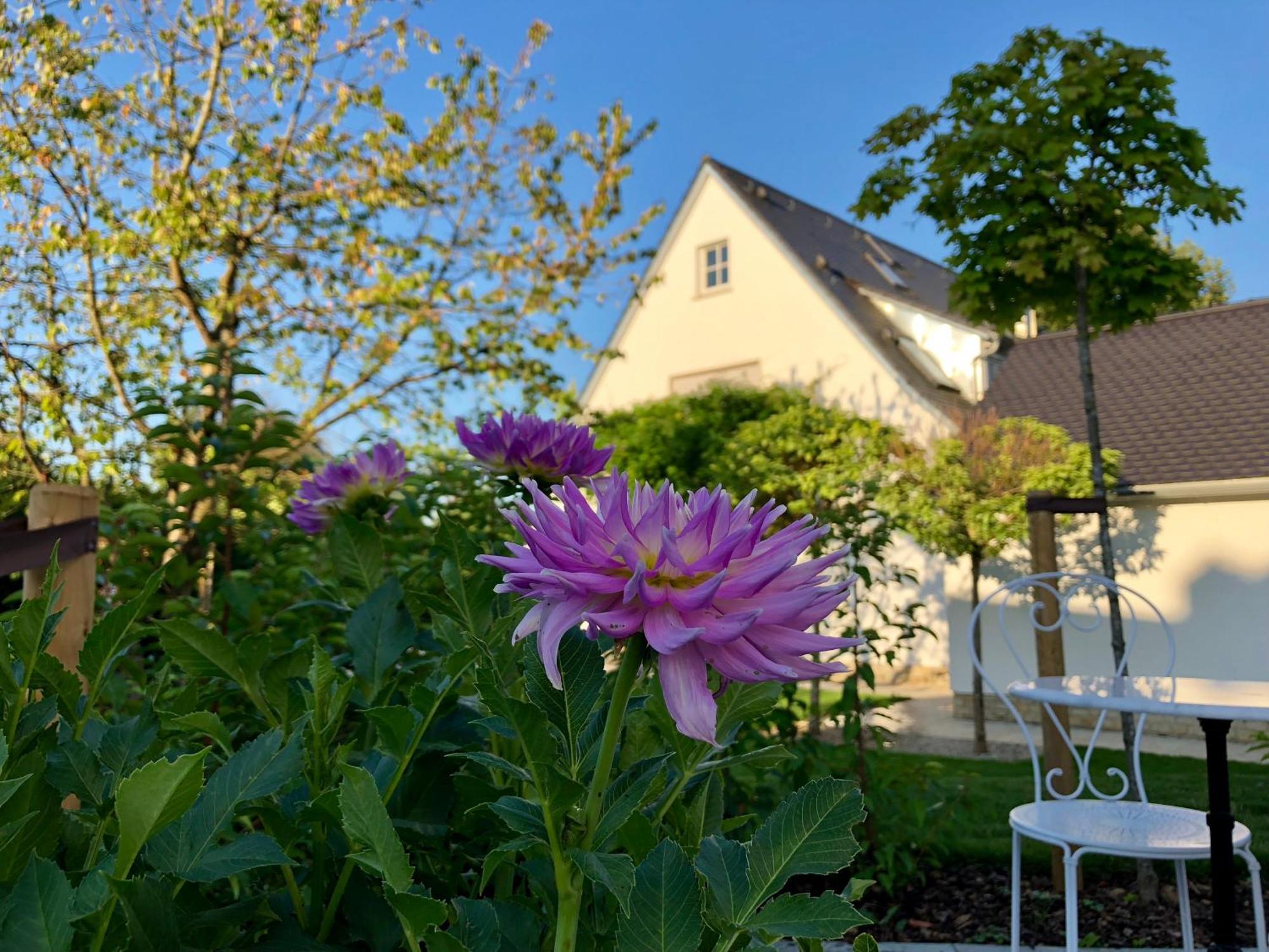 B & B Villa Dahlia Бакнанг Экстерьер фото